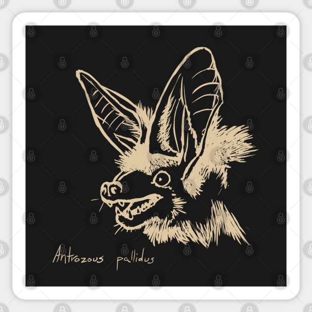 Pallid bat Sticker by Meganopteryx